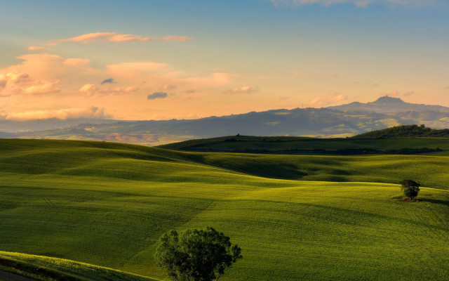 Green field lone tree mountains #3 free wallpaper for desktop - medium preview image
