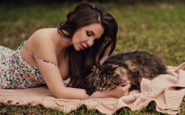 Woman laying cat blanket fashion free wallpaper for desktop - medium preview image