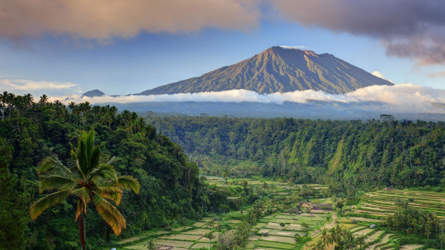 Mountain forest ricefields cloudy sky free wallpaper for desktop - medium preview image