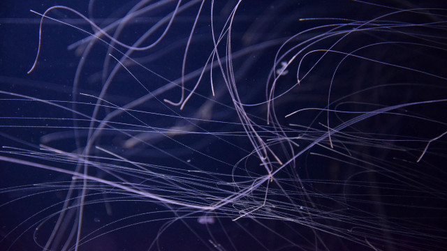 Cellphone blurry background rayonism bioluminescence free wallpaper for desktop - medium preview image