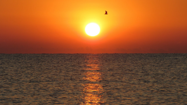 Bird ocean sunset sky mountain free wallpaper for desktop - medium preview image