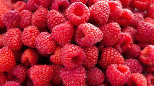 Raspberry plate fork spoon macro free wallpaper for desktop - medium preview image