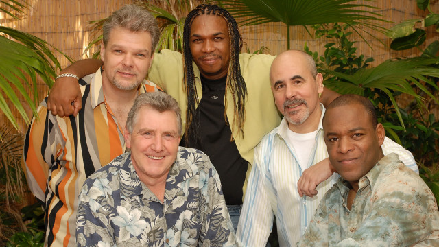 Men group plant wall bamboo free wallpaper for desktop - medium preview image