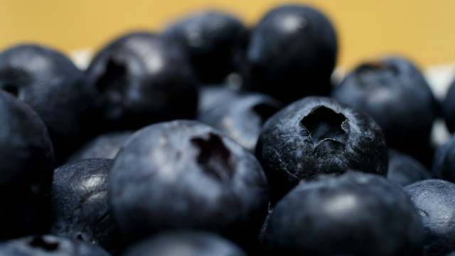 Blueberries yellow background bokeh macro free wallpaper for desktop - medium preview image