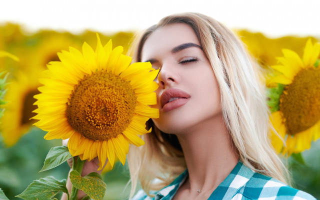 Woman sunflower field summer vibrancy free wallpaper for desktop - medium preview image