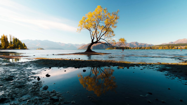 Reflected tree mountains water autumn free wallpaper for desktop - medium preview image