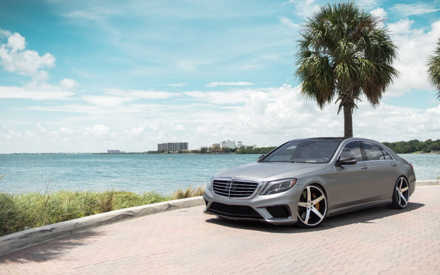 Silver car brick road palm free wallpaper for desktop - medium preview image