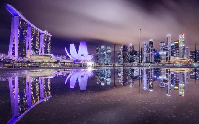 City skyline purple flower water free wallpaper for desktop - medium preview image
