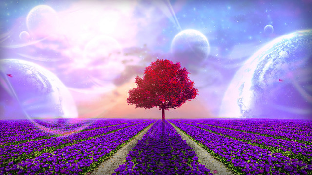 Tree flowers planet purple sky free wallpaper for desktop - medium preview image
