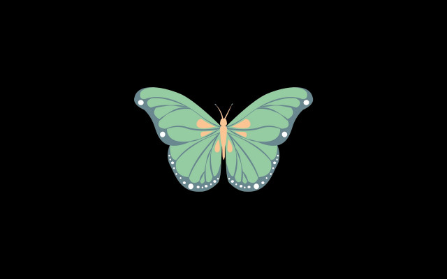 Green yellow butterfly black wing free wallpaper for desktop - medium preview image