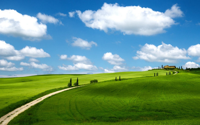 Green field dirt road house free wallpaper for desktop - medium preview image