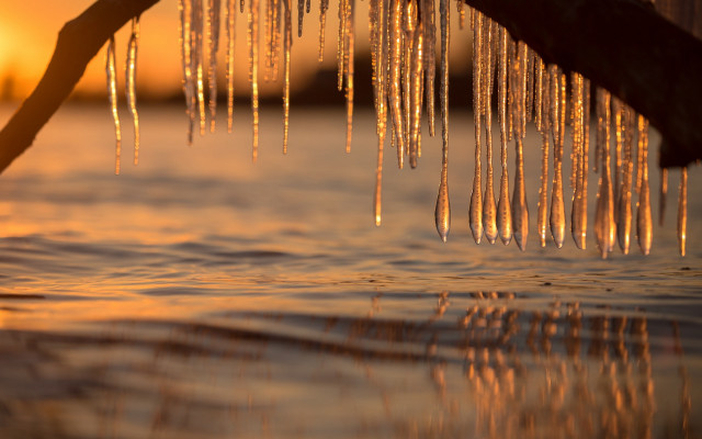 Tree branch icicles water sunset free wallpaper for desktop - medium preview image