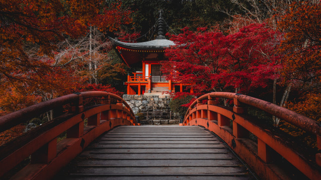 Red bridge pagoda autumn forest free wallpaper for desktop - medium preview image