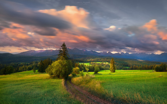 Dirt path tree mountains cloudy free wallpaper for desktop - medium preview image