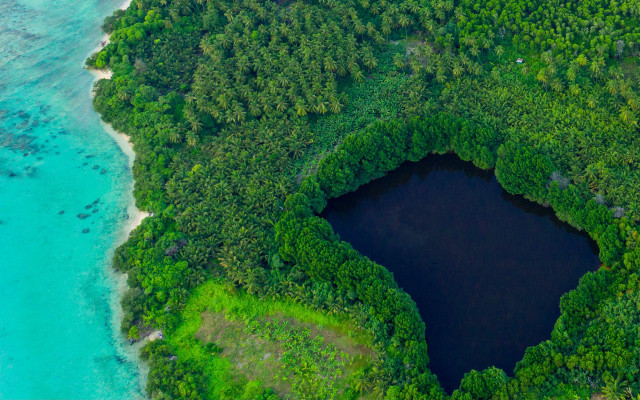 Lake forest aerial green nature free wallpaper for desktop - medium preview image