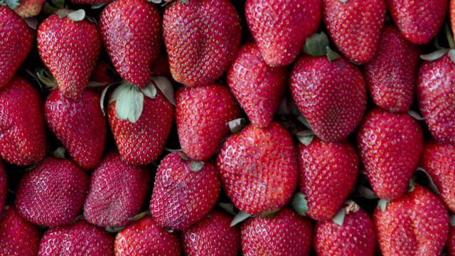 Large pile strawberries market stall free wallpaper for desktop - medium preview image
