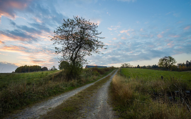 Dirt road tree sunset field #2 free wallpaper for desktop - medium preview image