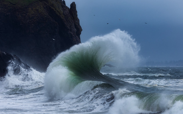Large wave cliff birds ocean free wallpaper for desktop - medium preview image