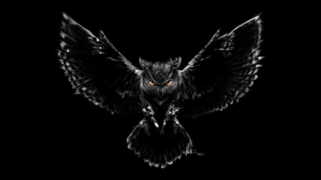 Black owl orange eyes flying free wallpaper for desktop - medium preview image