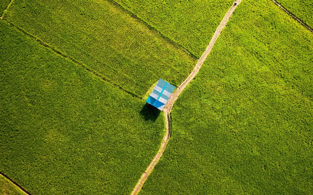 Blue house green field shaded free wallpaper for desktop - medium preview image