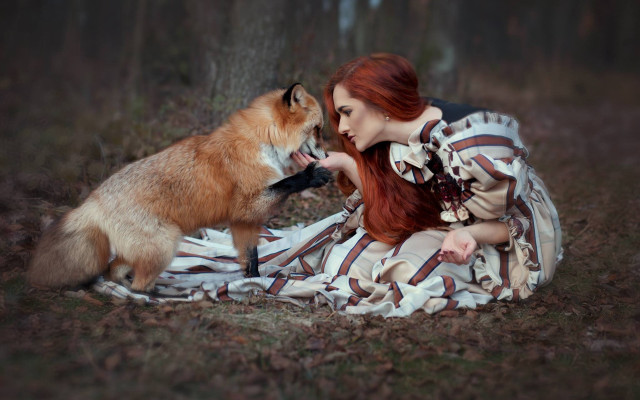 Woman dress petting dog woods free wallpaper for desktop - medium preview image