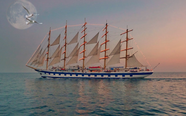 Sailboat fullmoon seagull ocean night free wallpaper for desktop - medium preview image