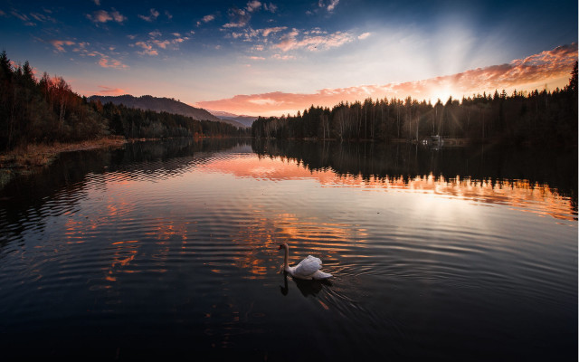 Swan lake sunset magic realism free wallpaper for desktop - medium preview image
