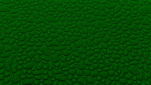 Green water droplets fence leaf free wallpaper for desktop - medium preview image