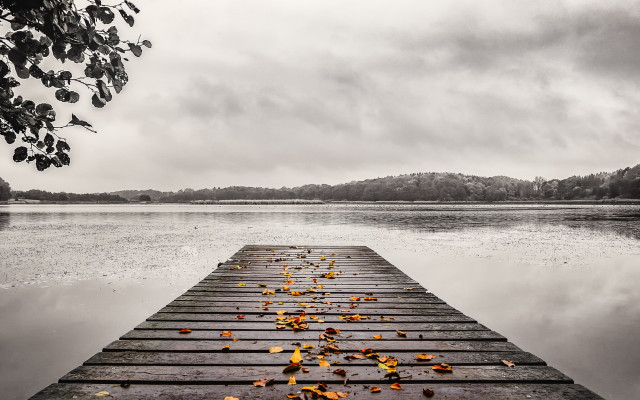 Wooden dock leaves water cloudy free wallpaper for desktop - medium preview image