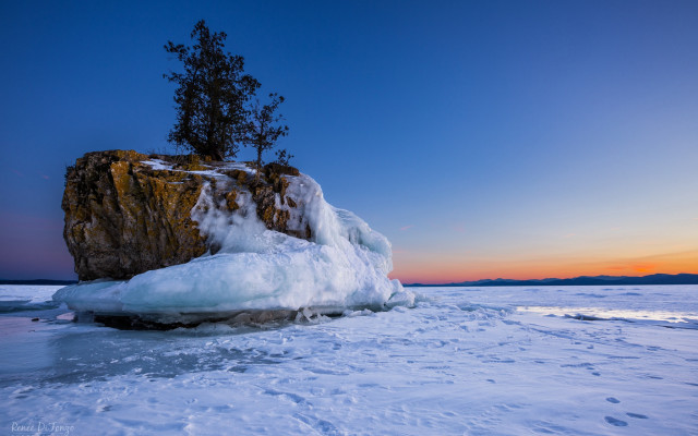 Ice rock beach sunset tree free wallpaper for desktop - medium preview image