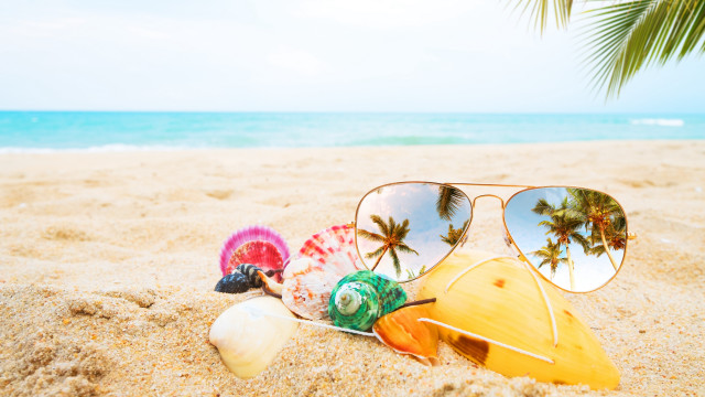 Sunglasses fan beach palm sky free wallpaper for desktop - medium preview image