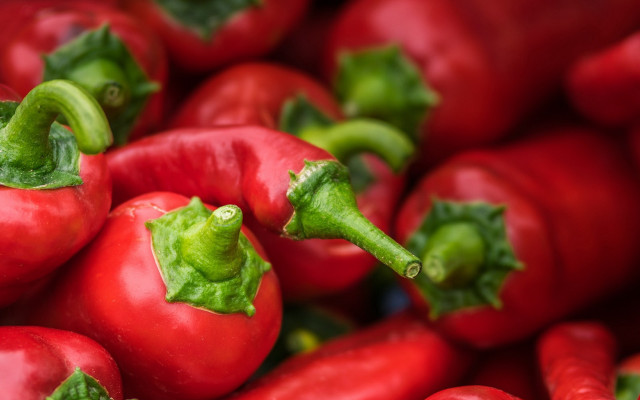 Red peppers green stems food free wallpaper for desktop - medium preview image