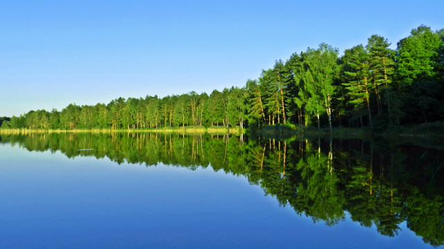 Lake forest bench sky mountains free wallpaper for desktop - medium preview image