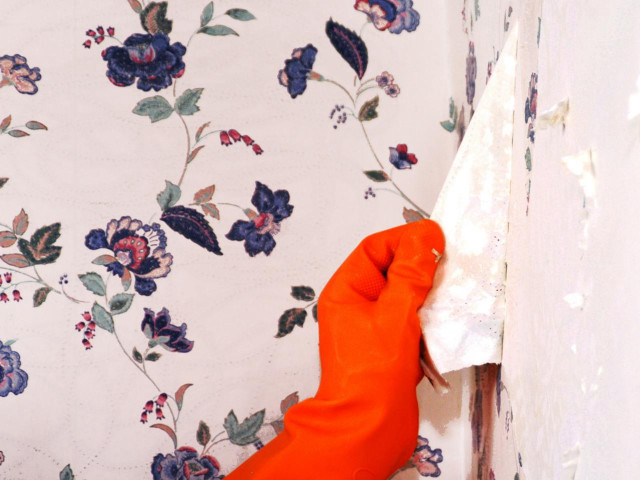 Cleaning orange gloves wall rag free wallpaper for desktop - medium preview image