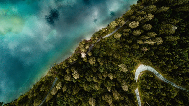 Winding road forest water night free wallpaper for desktop - medium preview image