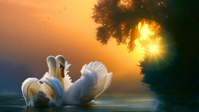 Swan dawn sunset tree sunbeam free wallpaper for desktop - medium preview image