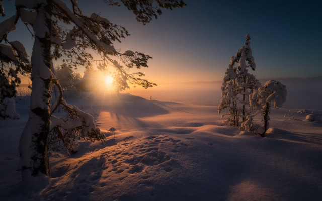 Sunset snow trees mountain ocean free wallpaper for desktop - medium preview image