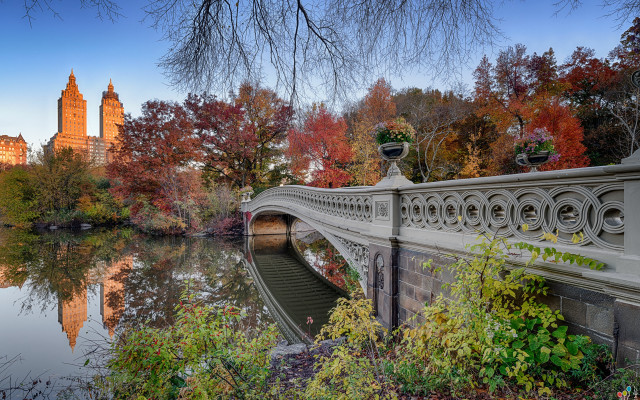 Bridge river city autumn leaves free wallpaper for desktop - medium preview image