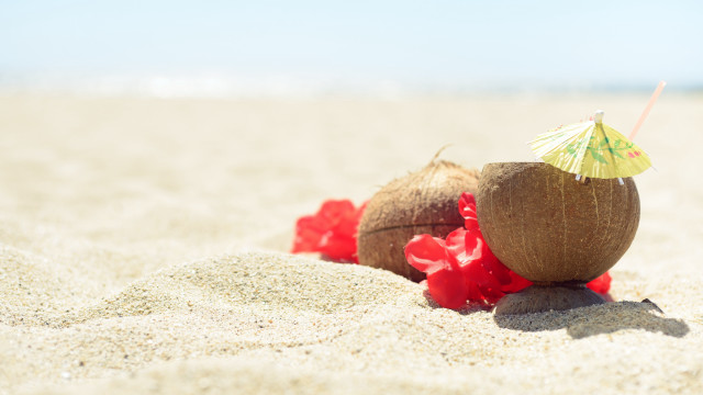 Coconut beach umbrella redflowers summer free wallpaper for desktop - medium preview image