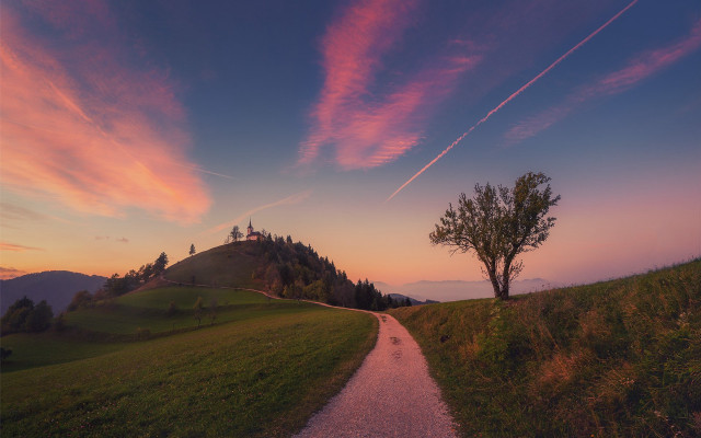Sunset path hill tree magical free wallpaper for desktop - medium preview image