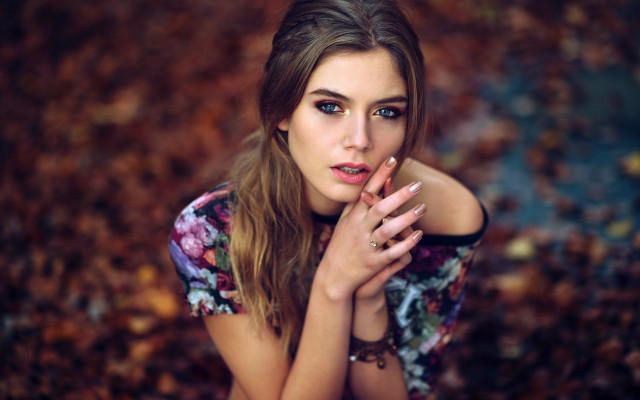 Fall leaves portrait Eszter Mattioni free wallpaper for desktop - medium preview image