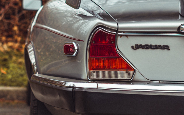 Silver car tail lights cat free wallpaper for desktop - medium preview image