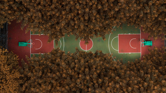 Basketball court trees grass tilt free wallpaper for desktop - medium preview image