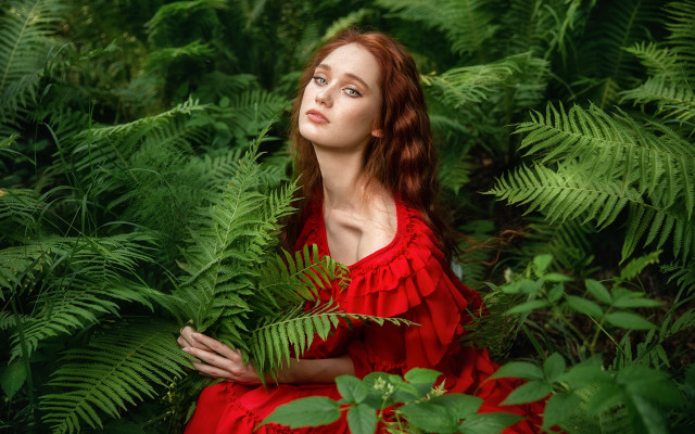 Woman red dress forest ferns free wallpaper for desktop - medium preview image