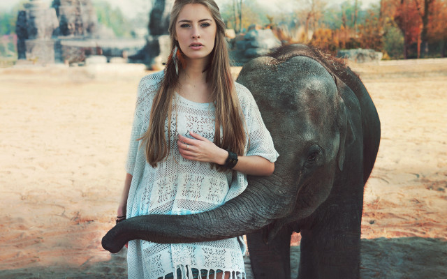 Woman elephant dirtfield trees building free wallpaper for desktop - medium preview image