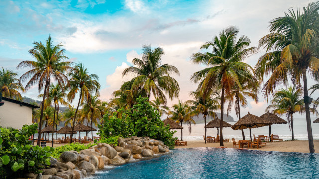 Ocean pool palm trees beach free wallpaper for desktop - medium preview image