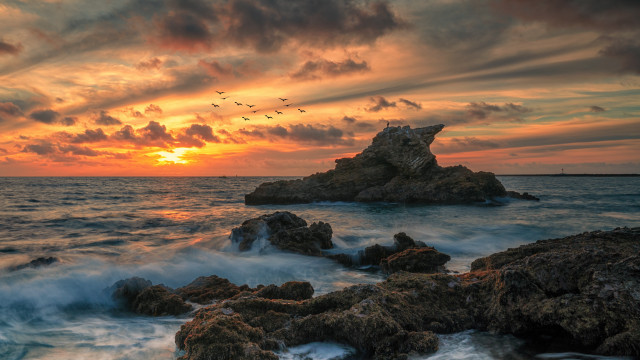 Sunset ocean birds rocks waves free wallpaper for desktop - medium preview image