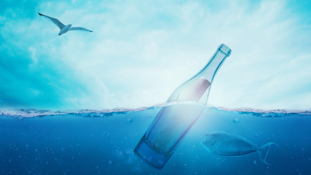 Ocean bottle fish bird aurora free wallpaper for desktop - medium preview image