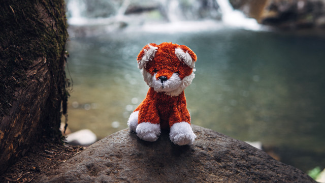 Stuffed animal waterfall river furry free wallpaper for desktop - medium preview image