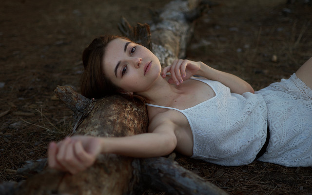 Woman lying on log woods free wallpaper for desktop - medium preview image